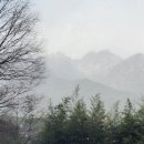 가야산식당 이미지