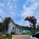 청송나무집 이미지