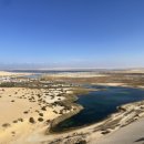 오아스시 이미지