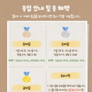 보홀 도도스파 마사지 내돈내산 후기 가격 픽드랍 정보