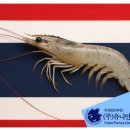 상호수산 이미지