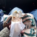 투투 동물병원 | 마운자로 5mg 후기 5주 1일차, 너무 졸림ㅠ