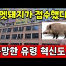 부동산 빙하기에 고분양가…부산 미분양 6개월 새 40% 이상 증가 |기업, 사람보다 아파트가 더 많다. 빈땅만 보이면 닥치는 대로 짓다 이미지