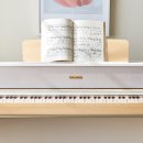 해마수학 | 2026년부터 달라지는 핵심 법안 총정리 그리고 지금, 아이 예체능에 투자해야 하는 이유