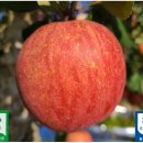 대형농장1호 이미지