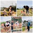 🌾 로렌츠 감성치유 시골체험 후기 🌾