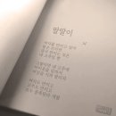 딸딸이네