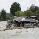 정선아기동물농장 이미지