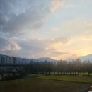 김천생명과학고등학교 | 김천 분위기 카페 Meta 1976 단독 후기｜외관부터 베이커리까지