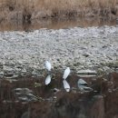 황전(순천) 이미지