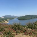 태성1리 Daum카페