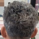 영부티크 이미지