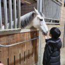 아라초등학교 이미지