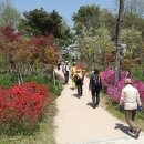 수원팔색길 여우길 이미지