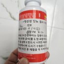 와이즈오렌지 | ​[파주/운정 와이즈병원] 임신 26주차 임당검사 시약 복용 & 입체초음파 후기