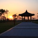 비비정 상생 도시숲 이미지