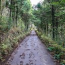 그랜드밀리언스호텔서귀포 이미지