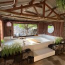 해피 파마씨 이미지