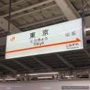 SGEM서본녹색환경기계 | [워홀] 오사카 워홀러의 새해 맞이 도쿄 여행🎈 DAY4 [도쿄 아침산책~오사카 복귀]