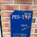 페스탑 - 서구 도요지로227번길 21-2 | 페스탑