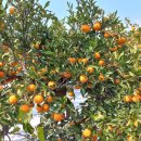 우공농장 이미지