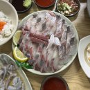 광어회사랑1 | 바다회사랑 연남점｜흑점줄전갱이랑 대광어회 먹은 후기 · 바다회사랑 웨이팅 • 연남동 횟집 추천