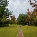 김해메디케어 | 부산 김해 산소호흡기 가정용 의료보험 받아 설치 후기