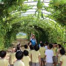 가자농장 이미지