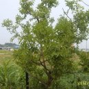 성환농장 이미지