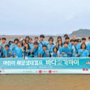 바다애 헤럴드경제