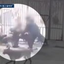 카페줄루 - 양주시 평화로 1570 | 카페줄루