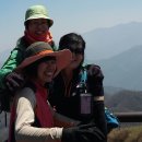 바래봉길 이미지