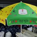 명성청과 - 보은군 삼산남로 14 | 명성청과