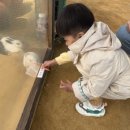 연우목장 이미지