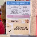 SALON B (살롱비)