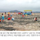 노을지는갯마을 이미지