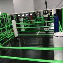 Y-GYM 이미지