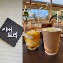 리버트리 | 나주 남평 대형카페 카페 리버트리 말차 아이스크림 추천