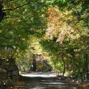 장대어린이놀이터 이미지