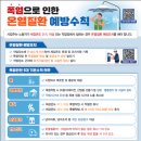 38℃ Daum카페