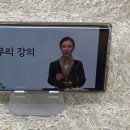 교(Gyo) 이미지