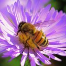 이고그램 이미지