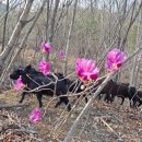 민영목장2 이미지