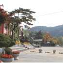 금주초교 이미지