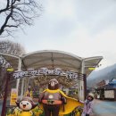 메아리식당 이미지