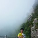 금곡사(외) Daum카페
