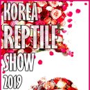 와이엔케이렙타일