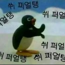 슈발 - 광진구 뚝섬로30길 21 | 슈발