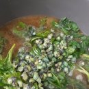 금강올갱이 이미지