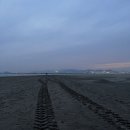 스타벅스 다대포DT점 | [직장인 국내여행] 부산 여행 : 다대포해수욕장